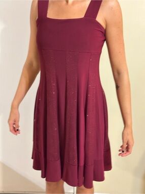R&M Richards Burgundy Glitter Panel Flare Dress - Size 8